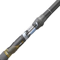 3 СПТп-10 (БПИ 3ж–СПЭ 1ж)